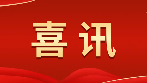 喜報 | 數碼大方入選湖北省云服務供應商