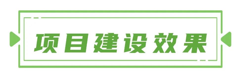項目建設效果綠.jpg
